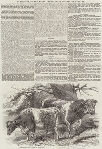 Udstilling af Royal Agricultural Society of England